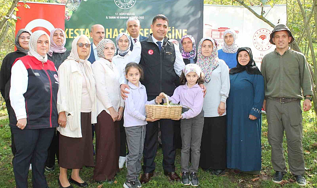 2024'te 794 ton kestane üretimi gerçekleşti