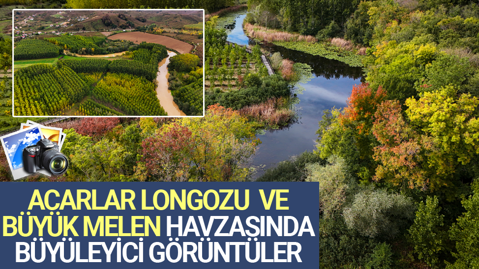 Acarlar Longozu ve Büyük Melen havzası sonbaharın tonlarıyla renklendi