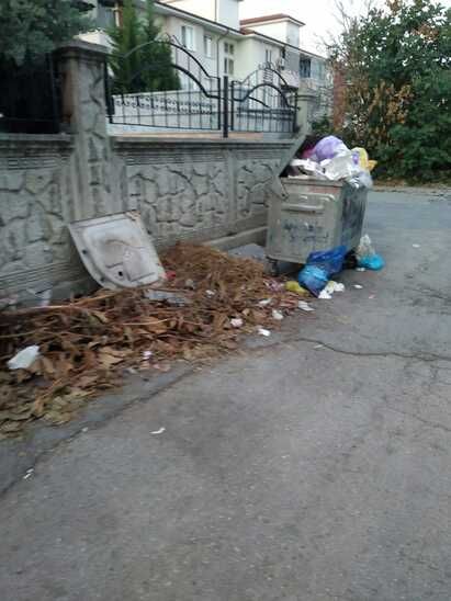 Adapazarı’nda çöp yığınları şikâyet konusu oldu