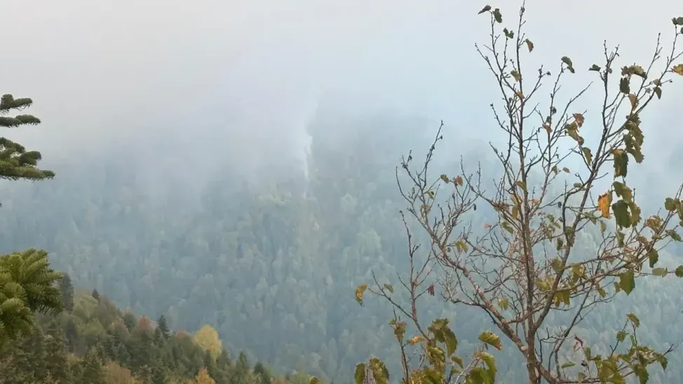 Akyazı'da orman yangını! Havadan ve karadan müdahale edildi