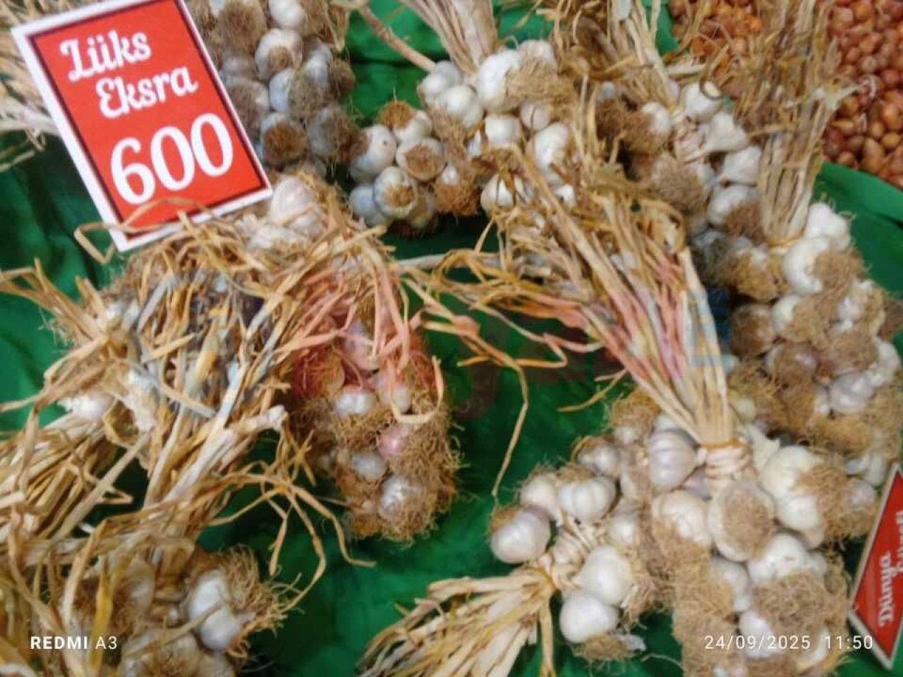 Akyazı pazarında sarımsak 600 lirayı gördü