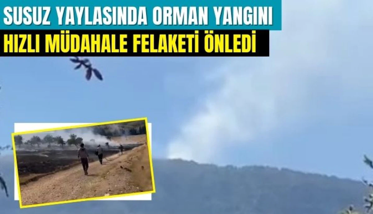Akyazı Susuz Yaylası'nda Orman Yangını: Hızlı Müdahale Felaketi Önledi
