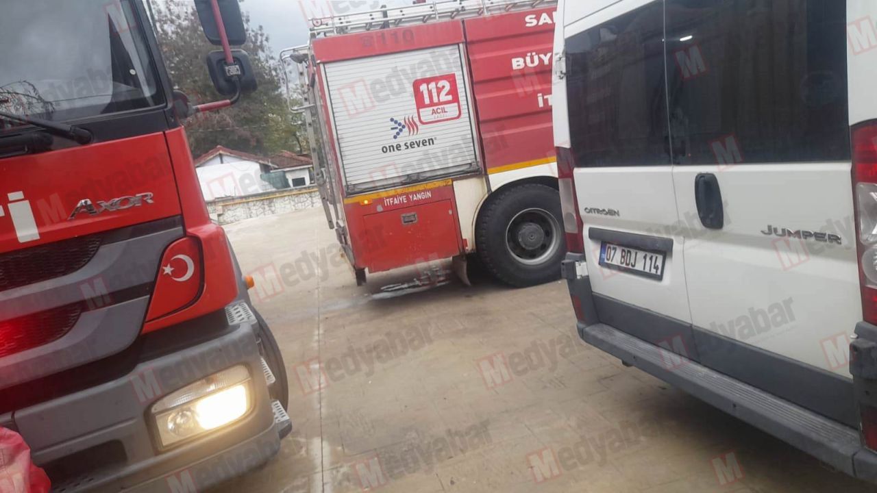 Ana caddede direkten kopan tel paniğe neden oldu