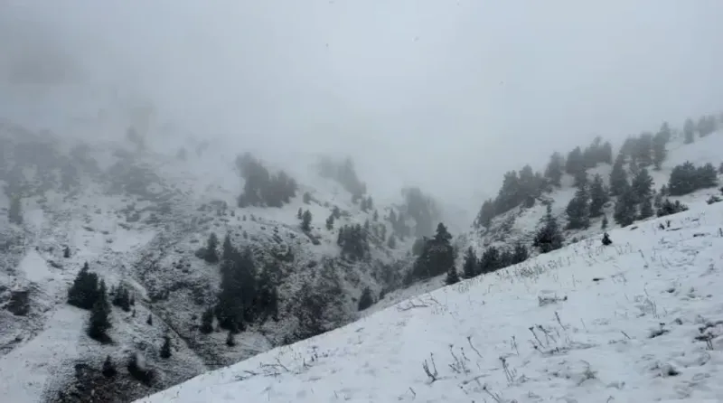 Artvin’de yaylalar kar altında