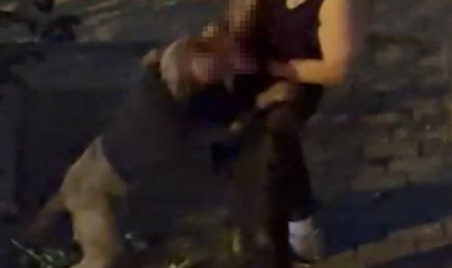 Bahçelievler'de pitbull cinsi köpek sahibine saldırdı: Dehşet anları kamerada