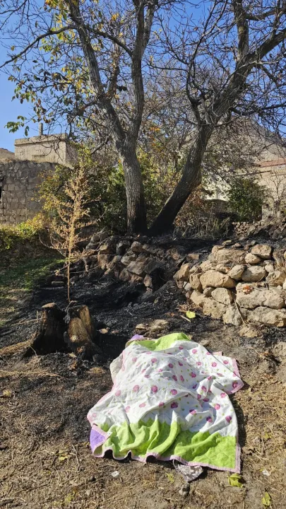 Bahçesinde yaktığı otlar canına mal oldu!