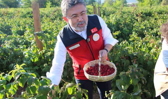 Bakan İbrahim Yumaklı: 