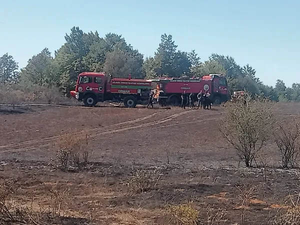 Bilecik’te arazi yangını söndürüldü