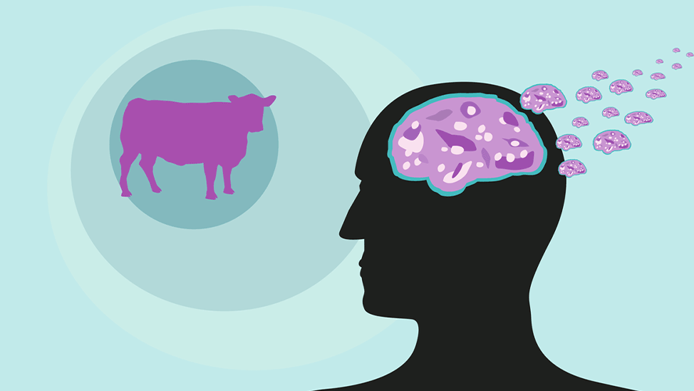 Boğaz ağrısı ve mide bulantısı ile doktora gitti: Bolu'da 'deli dana' vakası