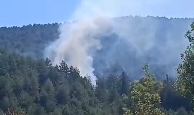 Bolu'da çıkan orman yangını kısa sürede söndürüldü
