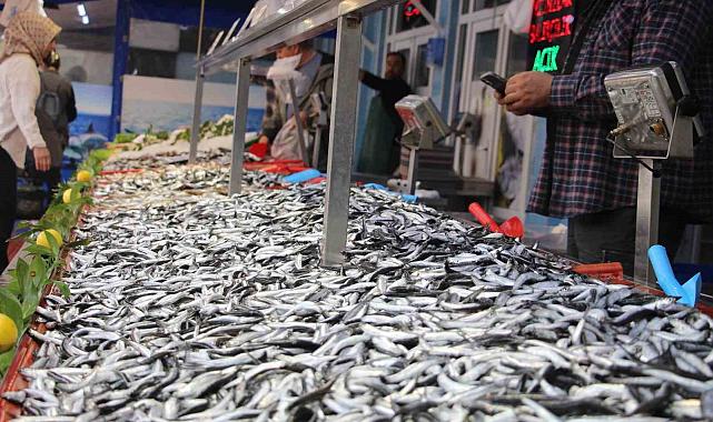 Bolu'da hamsi kilosu 200 liradan tezgahlarda yerini aldı