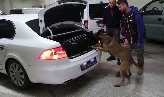 Bolu'da kaçakçılık operasyonunda 6 gözaltı