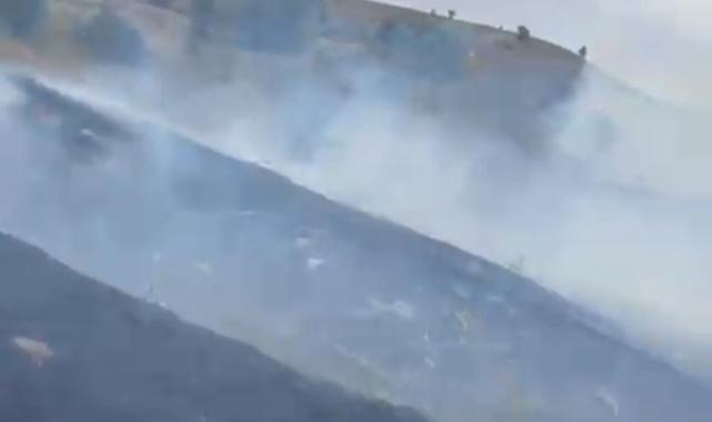 Bolu'da kırsal alanda çıkan yangın ormana sıçramadan söndürüldü