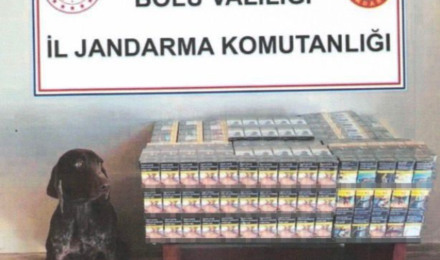 Bolu'da yolcu otobüsünde kaçak sigara ele geçirildi