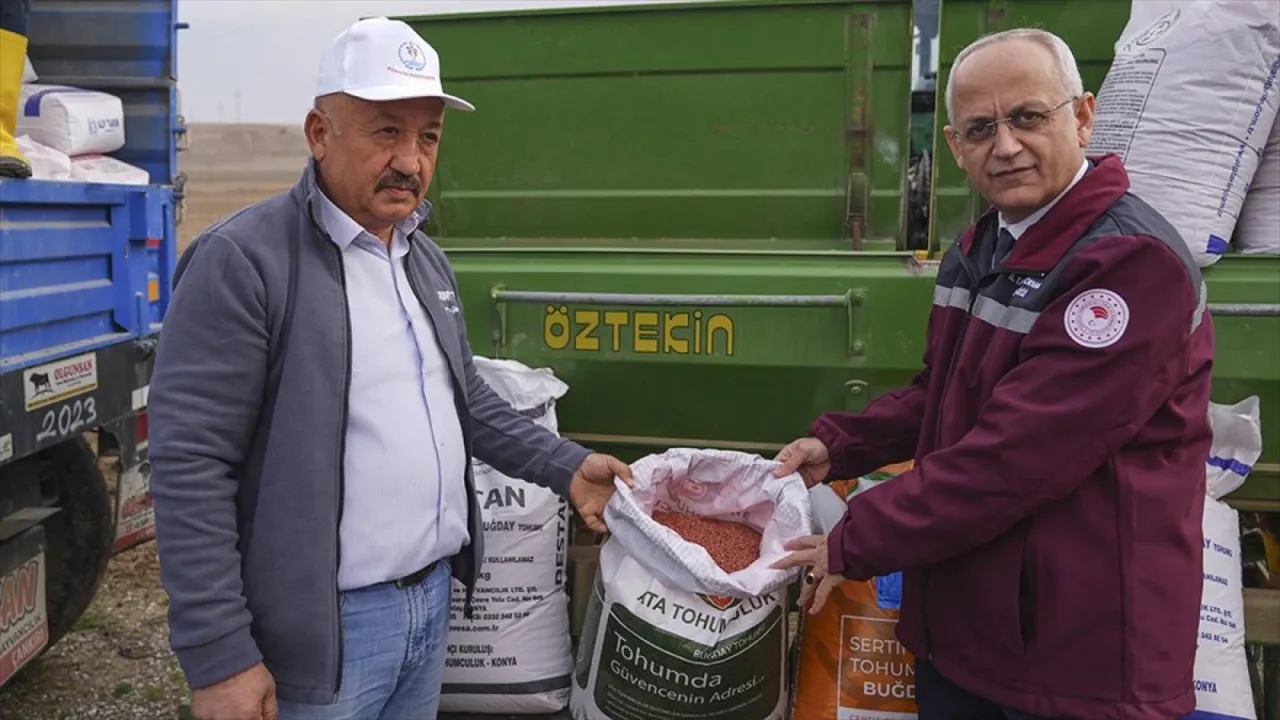 Çankırı'da çiftçiler 800 hektarda kuraklığa dayanıklı sertifikalı tohum deniyor
