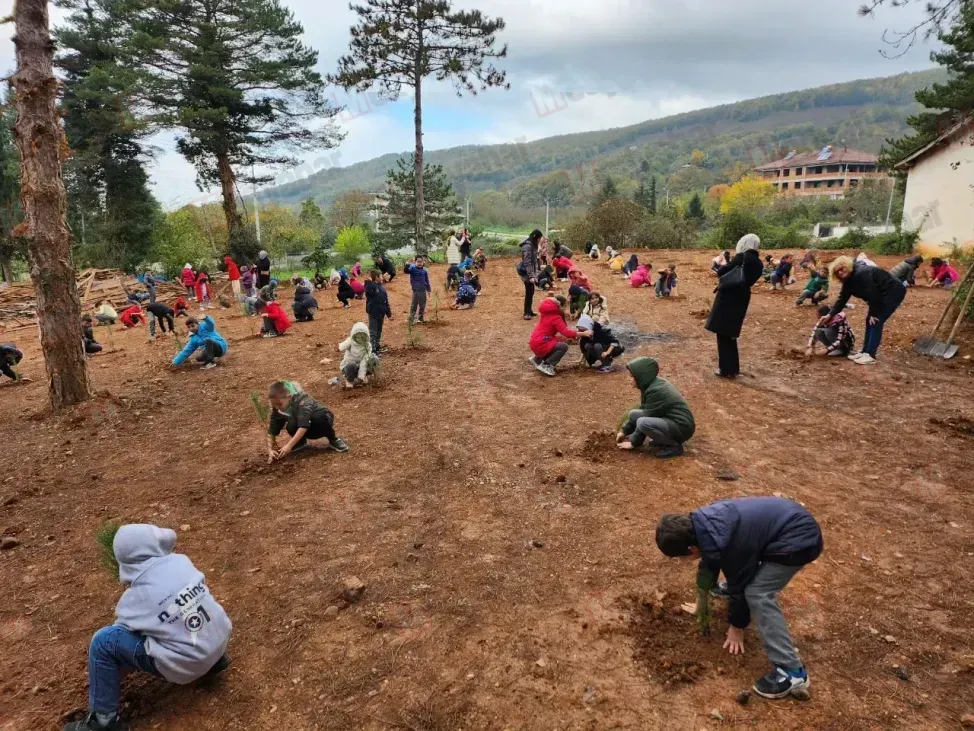 Cumhuriyet için dikilen fidanlara zarar verildi iddiası