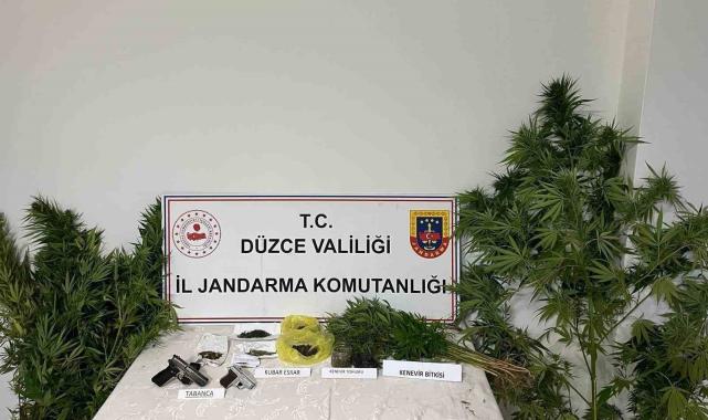 Düzce'de uyuşturucu operasyonunda 1 tutuklama