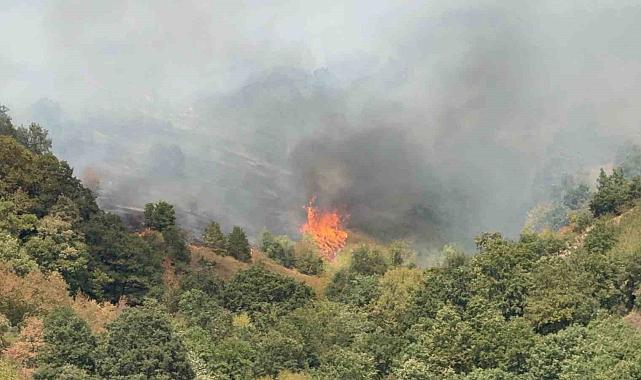 Düzce'de yangının çıkış nedeni araştırılıyor