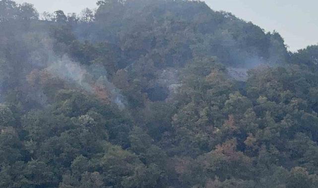 Düzce'deki orman yangını kısmen kontrol altına alındı