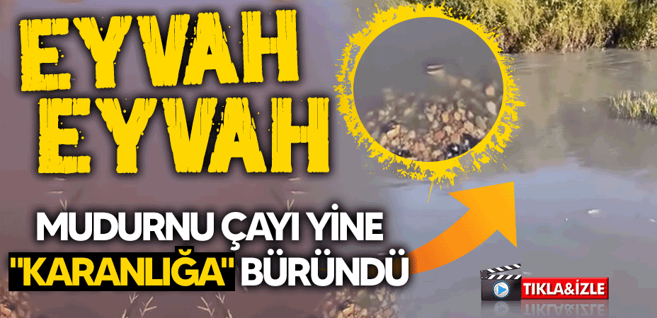 Eyvah eyvah... Mudurnu çayı yine "karanlığa" büründü!