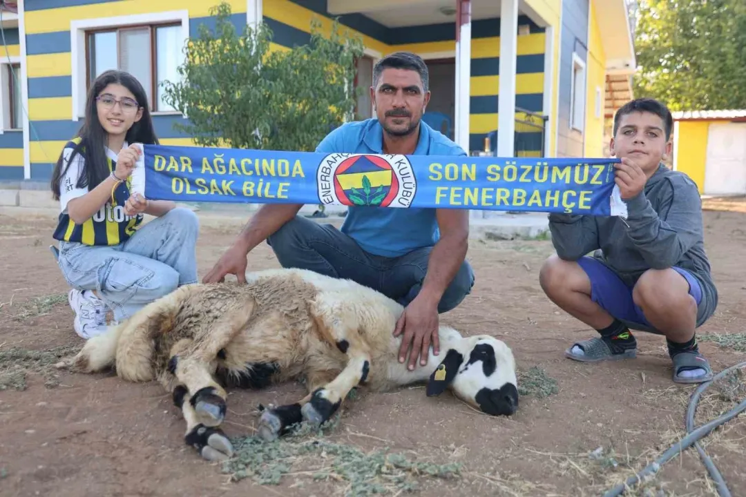 Fenerbahçe’nin makus tarihi değişsin diye, adadıkları hayvanı kestiler