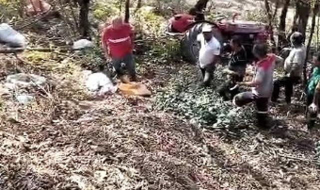 Fındık bahçesinden dönen traktör devrildi, sürücü hayatını kaybetti