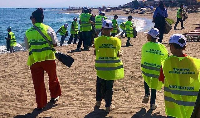 İsveç'te başlayan akım Karasu'ya ulaştı