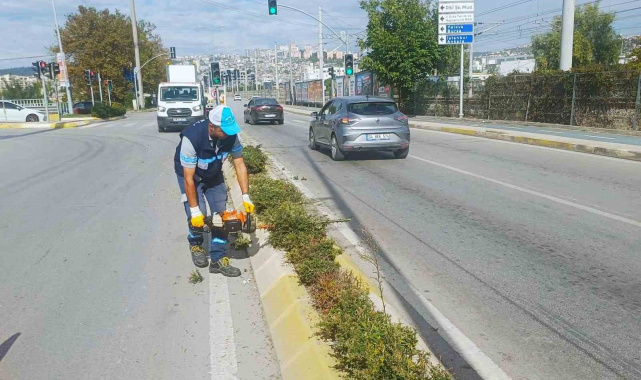 İzmit'te sonbahar budaması