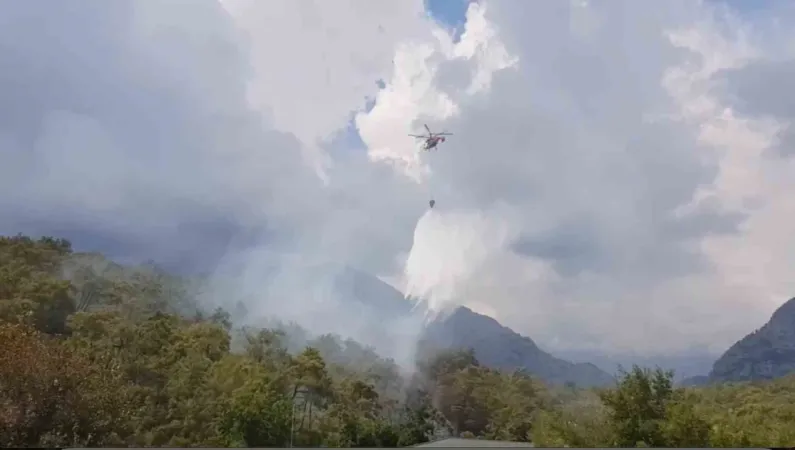 Kemer’de ormanlık alanda çıkan yangın büyümeden kontrol altına alındı