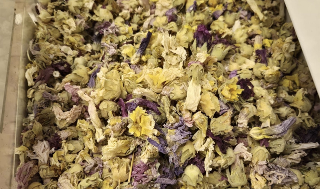 Kışın favorisi: Zencefil, propolisli macun, kara mürver ve karadut pekmezleri