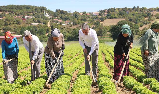 Kocaeli'de tarıma 1 milyar TL'lik destek