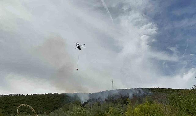 Kocaeli'deki orman yangını 1 saatte kontrol altına alındı