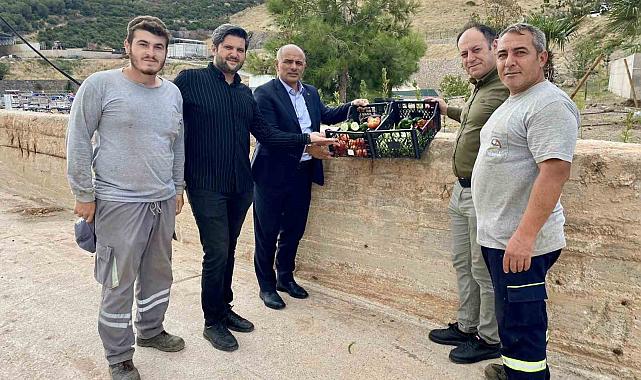Körfez'de ata tohumlarının ilk hasadı yapıldı