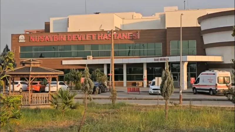 Mardin'de silahlı kavga: 2 yaralı