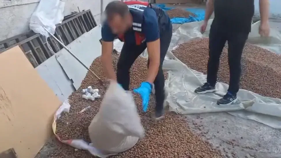 Onu gören jandarma hareketlerinden şüphelendi! Fındık çuvalından uyuşturucu hap çıktı