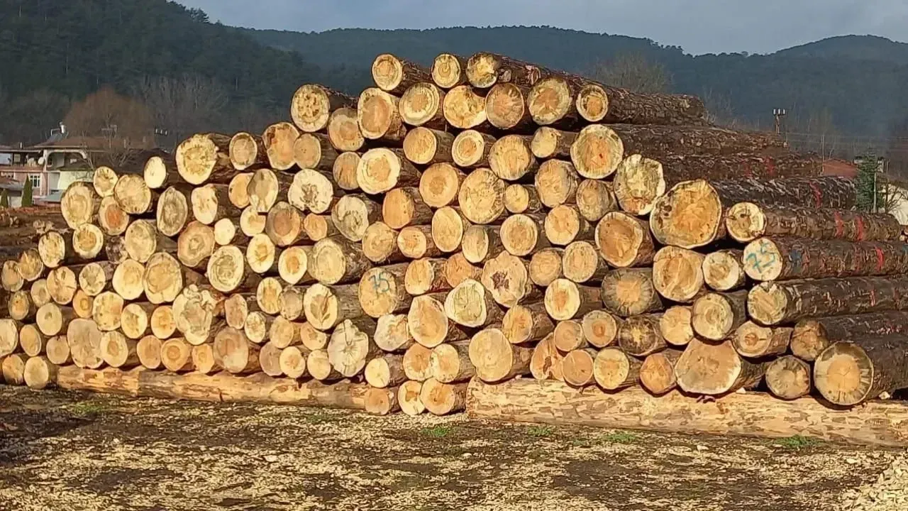 ORMAN EMVALİ İSTİFLEME HİZMETİ ALINACAKTIR