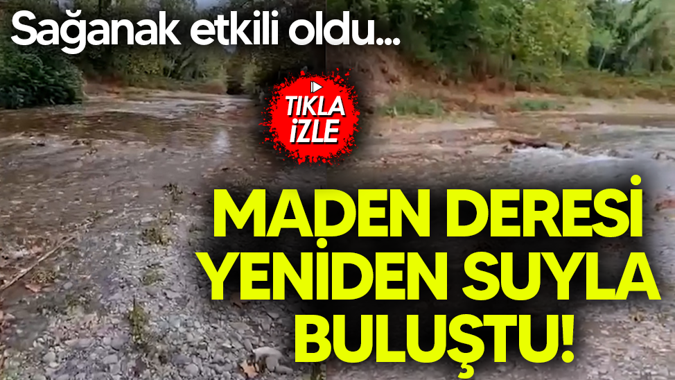 Sağanak etkili oldu... Sakarya'nın gözbebeği Maden Deresi yeniden suyla buluştu!