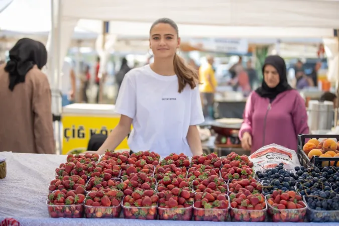 Sakarya'da Çilek Festivali renkli görüntülere sahne oldu