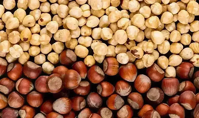 Sakarya Fındık Piyasasında Son Durum