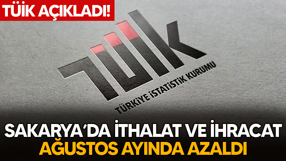 TÜİK açıkladı: Sakarya'da ağustos ayında ithalat azaldı