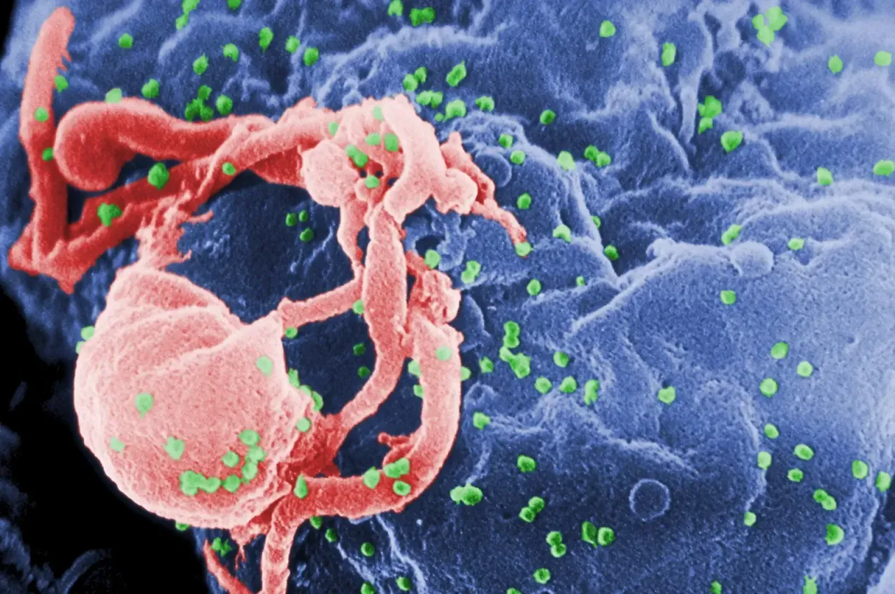 Türkiye’de HIV/AIDS Sessiz Bir Pandemiye Dönüşüyor